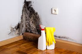 Best Mold Removal for HVAC Installations  in Fall Creek, WI